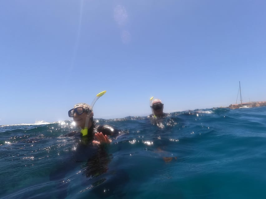 Snorkeling in tenerife south: Discover the underwater world - Who should book this Tenerife South snorkeling trip
