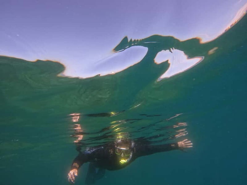 Snorkeling in tenerife south: Discover the underwater world - Should you book snorkeling in Tenerife South from Hotel GF Isabel?