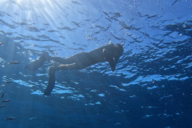 Snorkeling with a Professional Instructor in Tenerife - Pickup, meeting point, and how to keep the day from feeling rushed