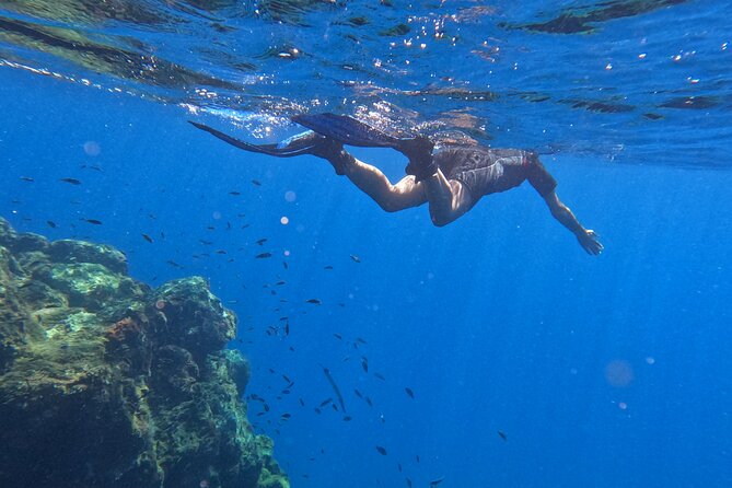 Snorkeling with a Professional Instructor in Tenerife - Time in the water: photos, videos, and staying in control