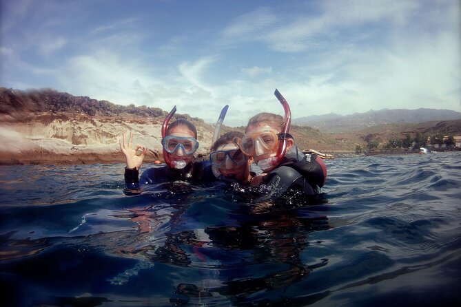 Snorkelling safari in a turtle area - The snorkeling time: turtles, marine life, and how to enjoy it more