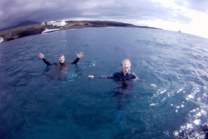 Snorkelling safari in a turtle area - What you actually get in the water: wetsuit, fins, mask, and less guesswork