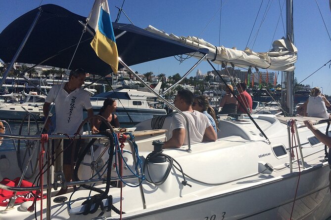 South Coast Tenerife Cruise - Whale and Dolphin Watching From a Skippered Sailboat