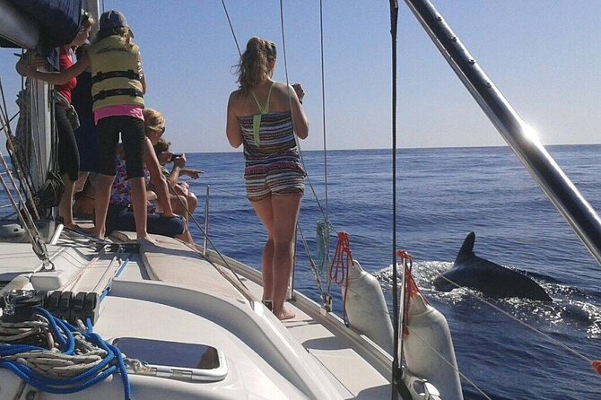 South Coast Tenerife Cruise - Stop Strategy: Puerto Armeñime and the Beach Break Moment