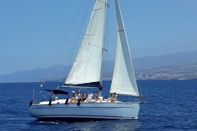 South Coast Tenerife Cruise - Price and Value: Is $66.54 Worth It?