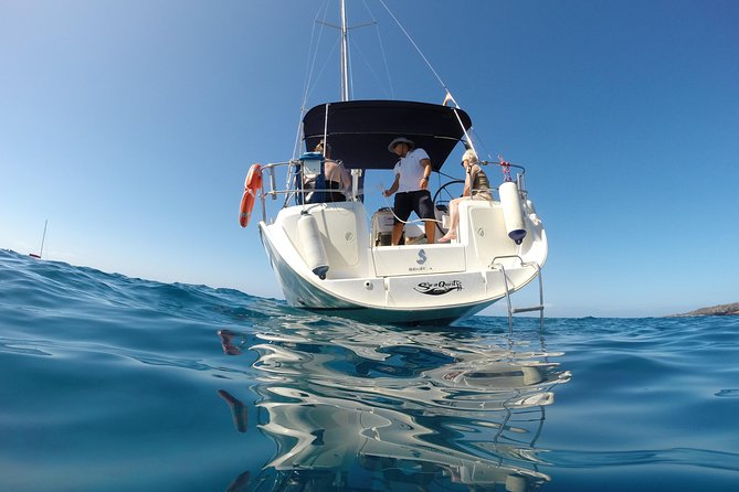 South Coast Tenerife Cruise - Meeting Velero SeaQuestFF: Where to Start and What to Expect