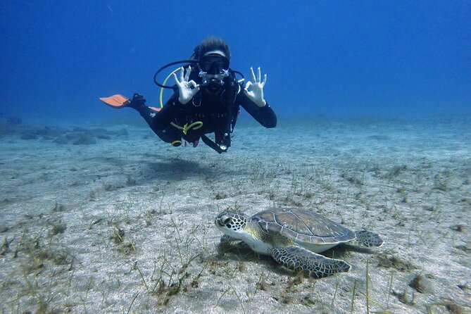 South of Tenerife : DSD Scuba Diving for beginners, Adeje - Key highlights you will care about