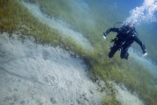 South of Tenerife : DSD Scuba Diving for beginners, Adeje - DSD beginner scuba in Adeje, what you learn and why it matters