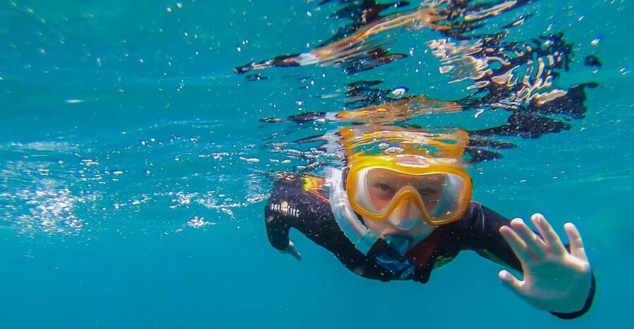 South Tenerife: Guided Snorkeling - Hotel Pickup, Transport, and Gear Pickup That Actually Saves Time