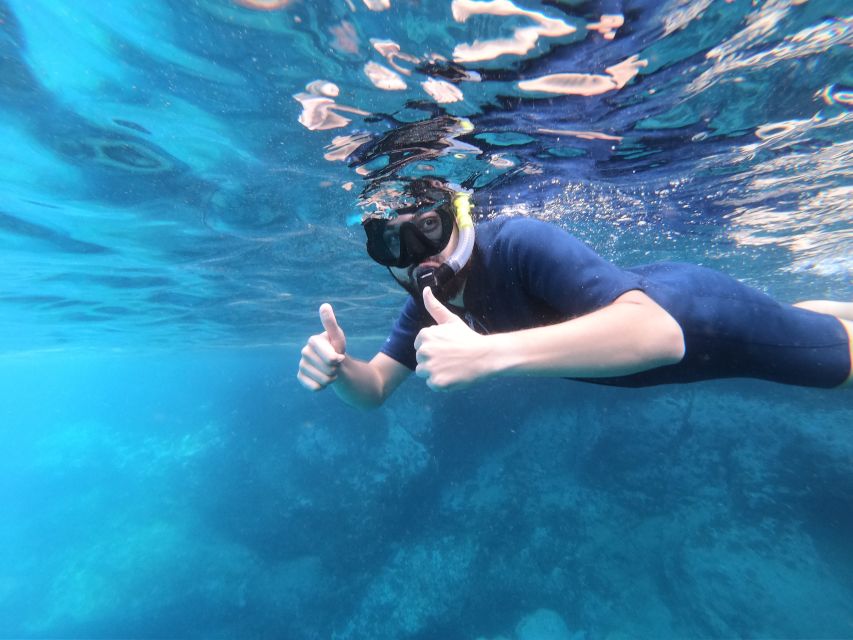 South Tenerife: Guided Snorkeling - Who This Tour Suits Best in South Tenerife