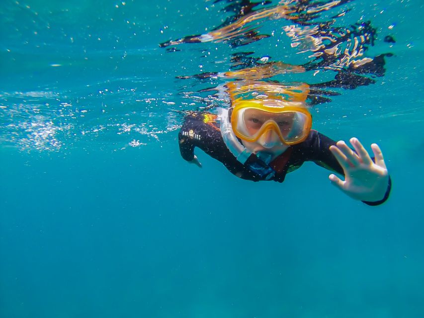 South Tenerife: Guided Snorkeling - Step-By-Step Into the Water, Including Mask and Boot Fit