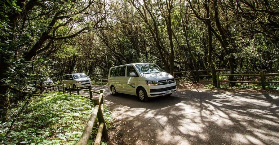 South Tenerife: San Cristóbal de La Laguna and Anaga Tour - Key highlights at a glance