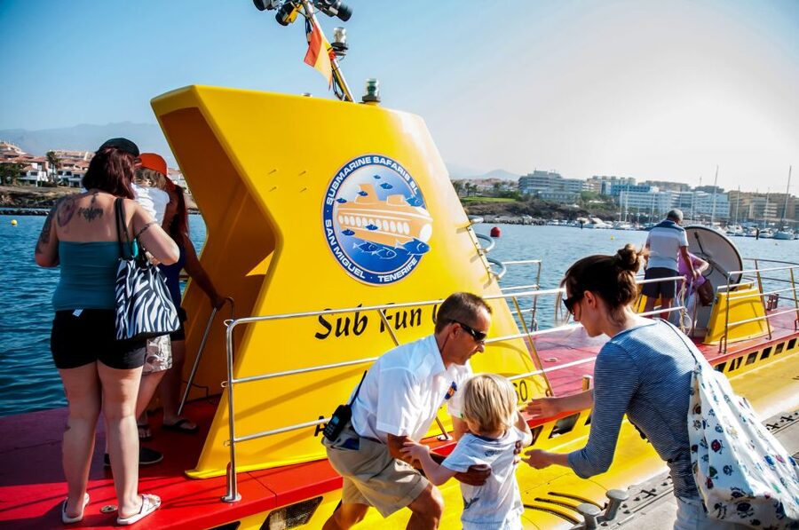 Southern Tenerife: 50-Minute Submarine Dive - The 30-meter plan, sitting on the seabed, and what you’ll actually see