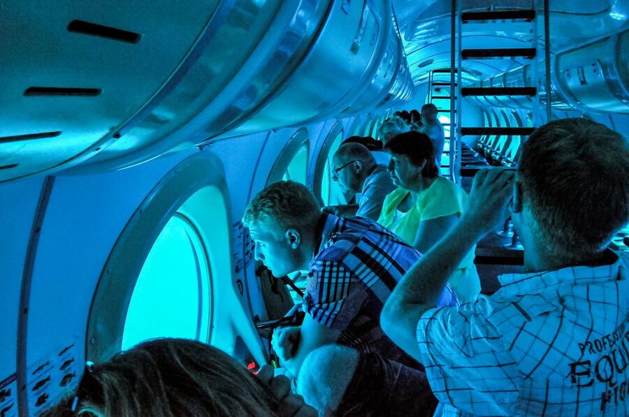 Southern Tenerife: 50-Minute Submarine Dive - The sting ray moment and the crew’s role at the windows