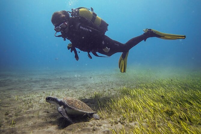 SSI Open Water, South Tenerife - Key things you should know before you go