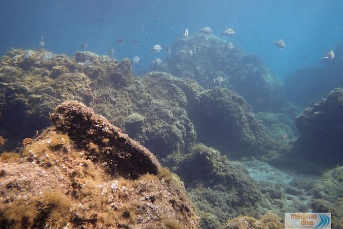 SSI Open Water, South Tenerife - Equipment, SSI materials, insurance, and transportation: the value math