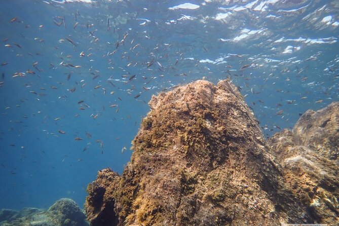 SSI Open Water, South Tenerife - Price, logistics, and group size: what makes this feel easy