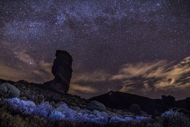 Stargazing Experience with Dinner & Drinks - Price and value: is $95.12 a fair deal?