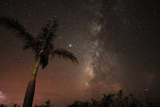 Stargazing on La Palma - Planets, star clusters, galaxies, and the Milky Way