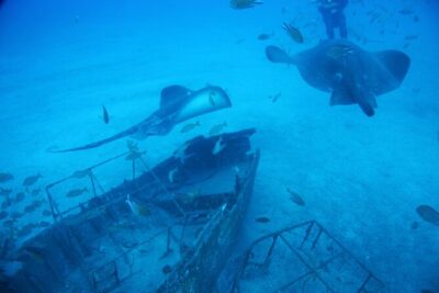 Submarine tour Tenerife: a 1 hour underwater experience
