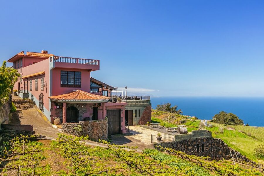 Tacoronte: Guided Winery Tour with Wine and Cheese Tastings - Key points to know before you go