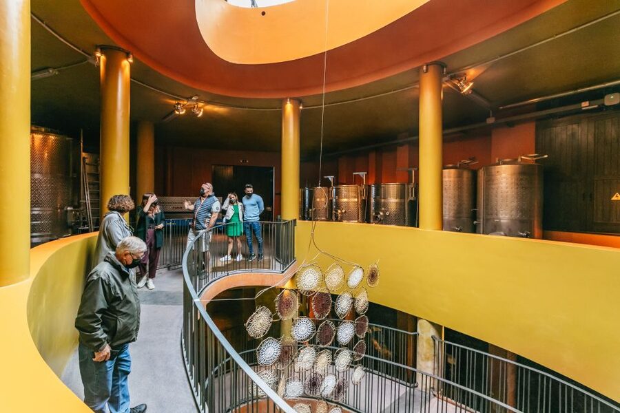 Tacoronte: Guided Winery Tour with Wine and Cheese Tastings - Should you book this Bodegas Monje wine and cheese tour?