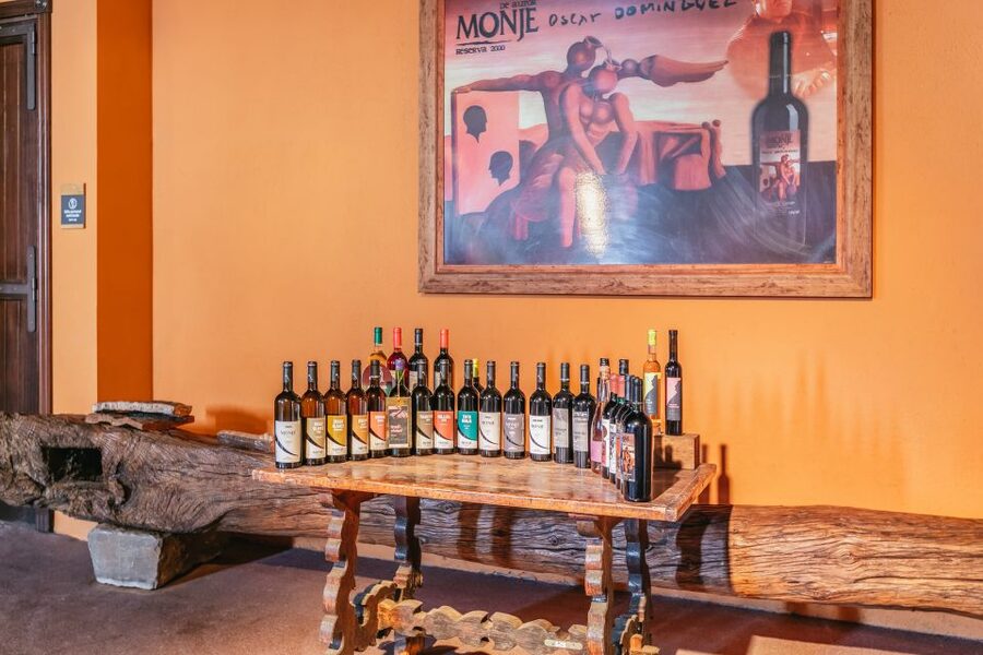 Tacoronte: Guided Winery Tour with Wine and Cheese Tastings - Canary wine basics you’ll actually use during tastings