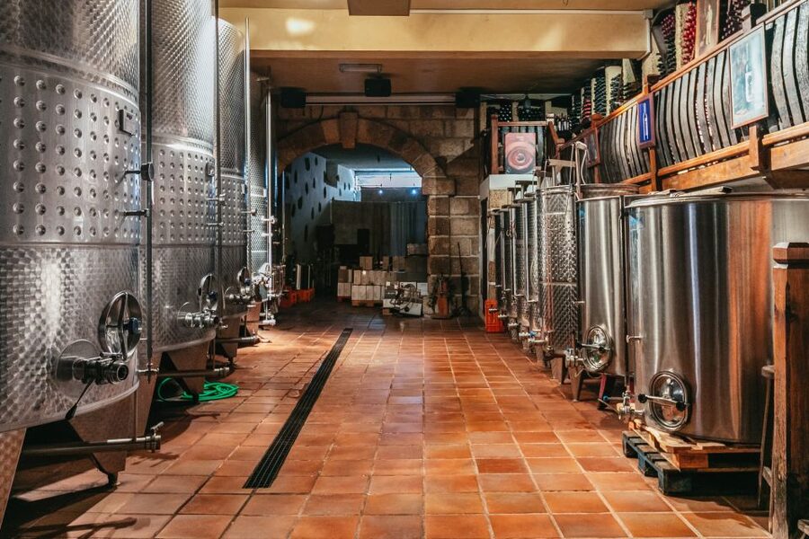 Tacoronte: Guided Winery Tour with Wine and Cheese Tastings - The four wine tastings, paired with four island cheeses