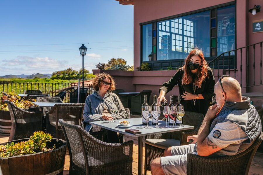 Tacoronte: Guided Winery Tour with Wine and Cheese Tastings - Views and pacing: why the location matters as much as the tasting