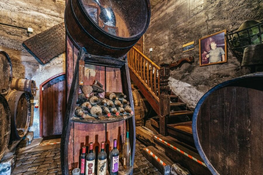 Tacoronte: Guided Winery Tour with Wine and Cheese Tastings - Price and value: is $41 worth it?