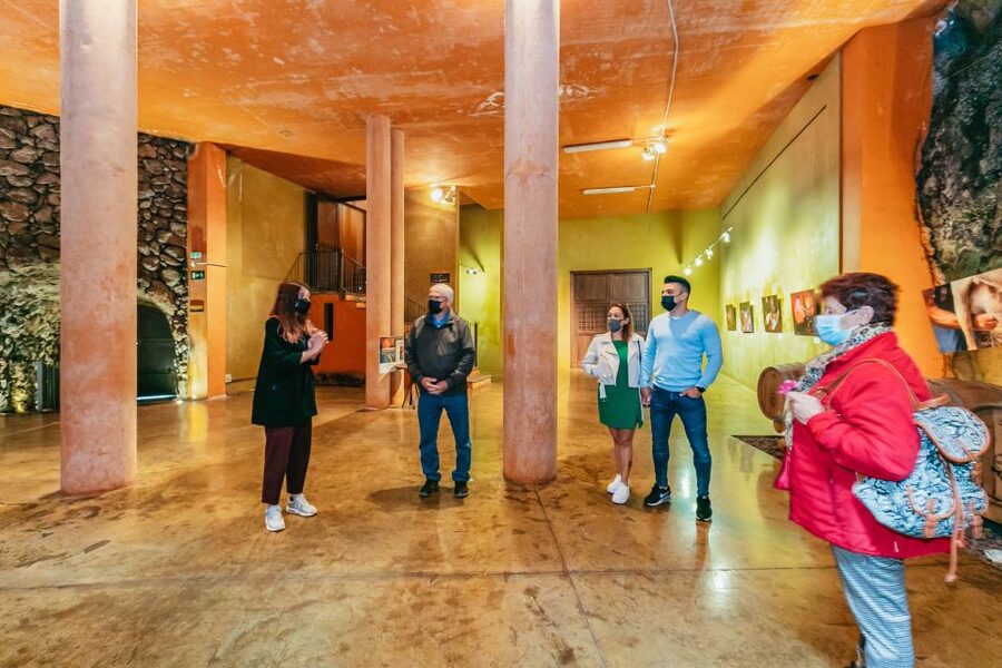 Tacoronte: Guided Winery Tour with Wine and Cheese Tastings - A couple of practical tips so your visit goes smoothly