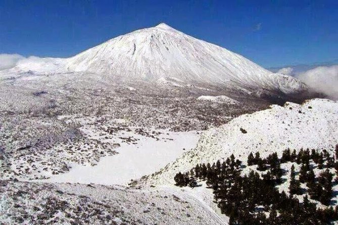 Teide 1/2 Day - Private pickup and air-conditioned comfort, the practical win