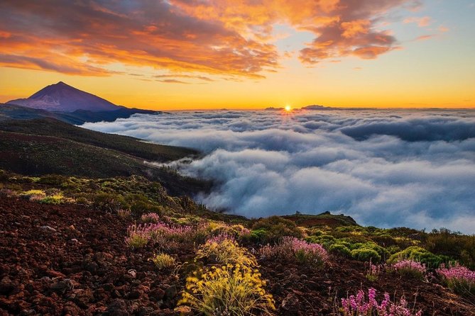 Teide 1/2 Day - Cable car planning: not included, weather dependent, and time sensitive