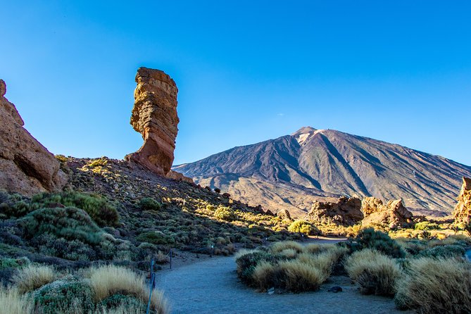 Teide by Night: Sunset & Stargazing with Telescopes Experience - Dinner at Restaurante Papillon: a break in the middle, but manage expectations