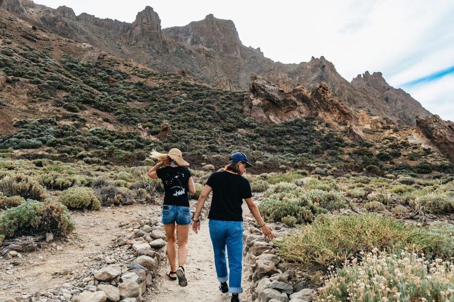 Teide: Guided Sunset & Stargazing Tour by Night with Dinner - Dinner at C. Portillo, 31: why it helps the night portion