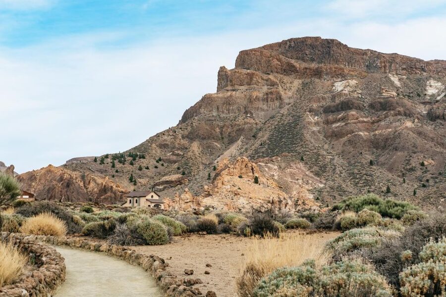 Teide: Guided Sunset & Stargazing Tour by Night with Dinner - What kind of traveler should book this?