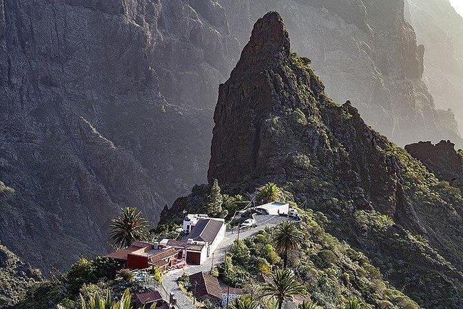 Teide-Icod-Garachico-Masca (Most popular bus tour in Tenerife) - Stop 2: El Drago Milenario, the 1,200-year-old symbol of Icod