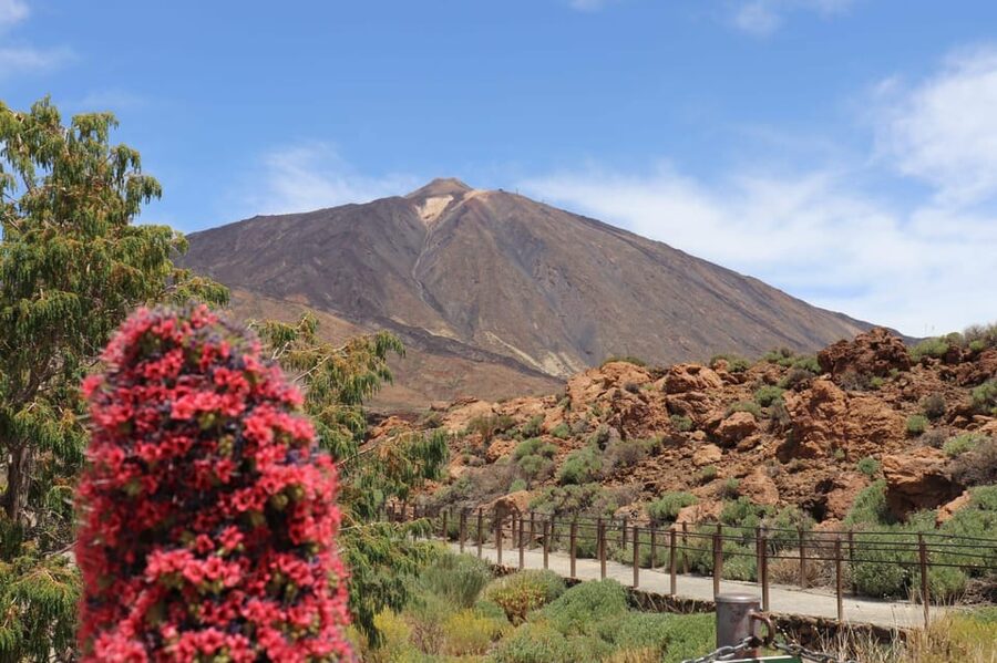 Teide National Park and Vilaflor - The return viewpoint, pine forest views, and Vilaflor’s big pine-tree stop