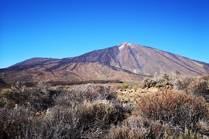 Teide National Park for smaller groups - Vilaflor stop: coffee at 1,500 meters and easy acclimatization