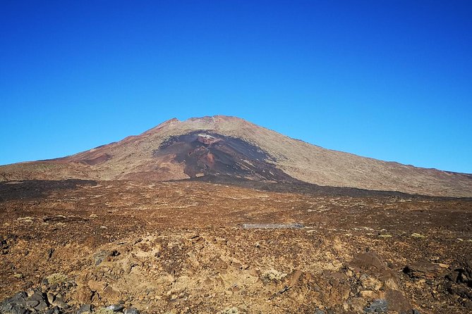 Teide National Park for smaller groups - El Pino Gordo and Boca Tauce: old pine meets big lava views