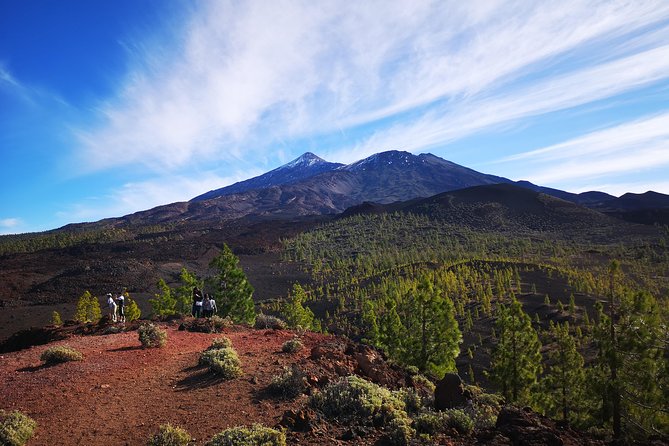 Teide National Park for smaller groups - Price and logistics that actually affect your day