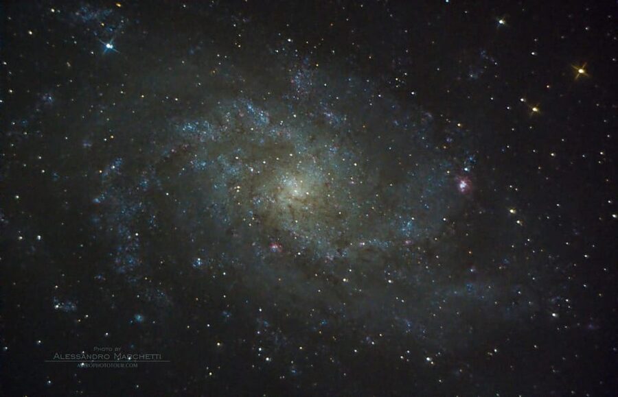 Teide National Park: Guided Large Telescope Stargazing Tour - What to bring (and what not to bring) for a smooth night