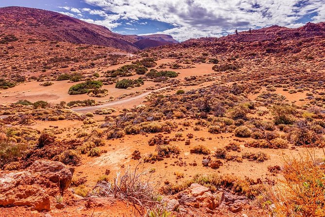 Teide National Park Half Day Tour with Hotel Pick up - Inside Teide National Park: Roques de Garcia, Pico Viejo, and More
