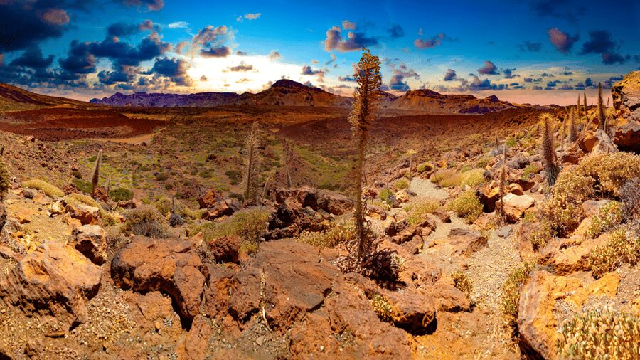 Teide National Park: Landscapes and Viewpoints Private Tour - El Portillo Visitor Center, where Teide makes sense