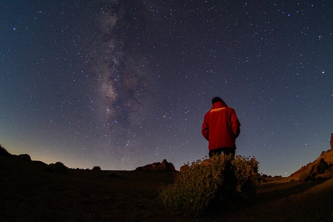 Teide National Park: Stargazing Experience - Price and value of an expert-led night under the stars