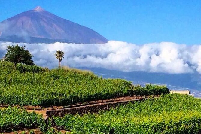 Teide National Park with visit to wineries in Tenerife - Key things to know