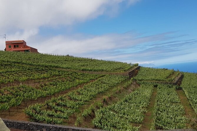 Teide National Park with visit to wineries in Tenerife - Guides Belén and Stefano: why the explanations matter