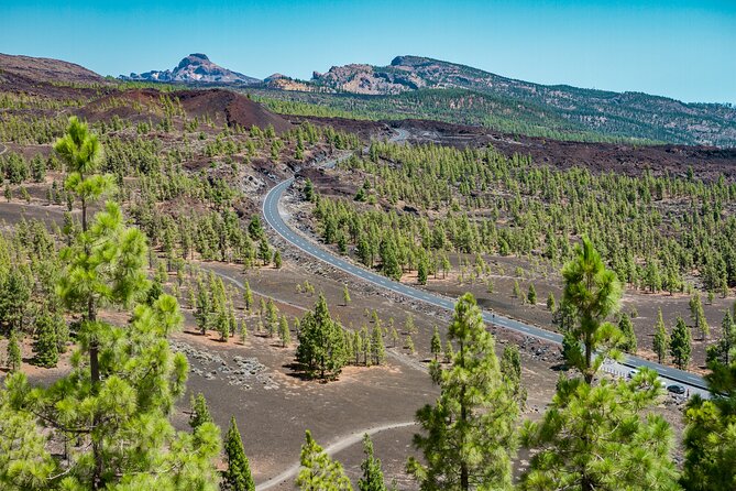 Teide National Park with visit to wineries in Tenerife - Who this tour fits best (and who might skip it)