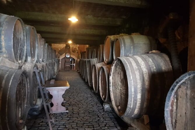 Teide National Park with visit to wineries in Tenerife - What the Teide walk gives you (and what you should watch for)