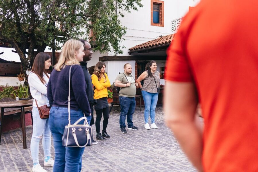 Teide Night Experience with Dinner and Stargazing - Teide National Park Stargazing: What the Guide Turns Into Real Meaning